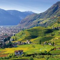 Private & Custom Tours