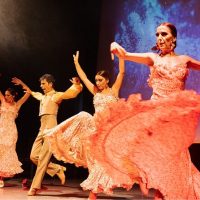 Flamenco