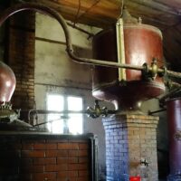Holiday & Seasonal Tours