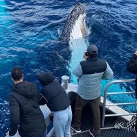 Cruises, Sailing & Water Tours