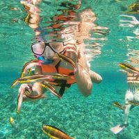 Cruises, Sailing & Water Tours