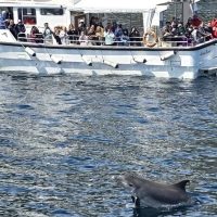 Half-day Tours