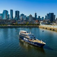 Boat Tours