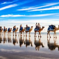 Cultural & Theme Tours
