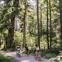 Bike Rentals