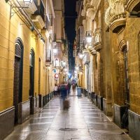 Private & Custom Tours