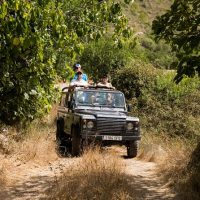 Shore Excursions