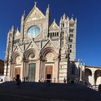 Luxury Tours