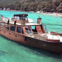 Lunch Cruises