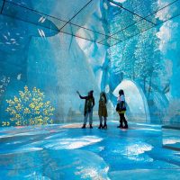 Holiday & Seasonal Tours