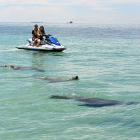Water Sports