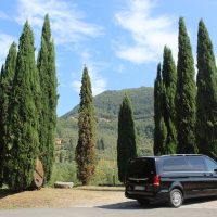 Bus & Minivan Tours