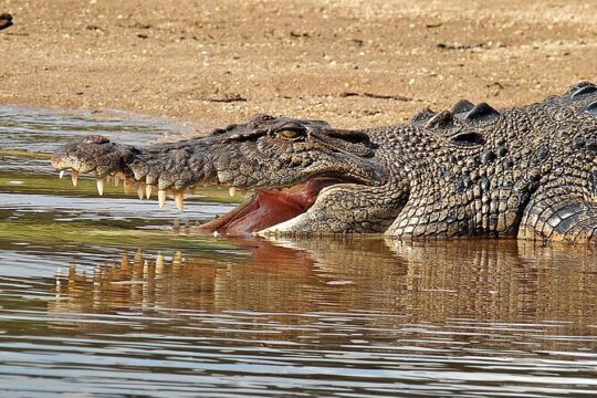 Valentine's Day in Port Douglas