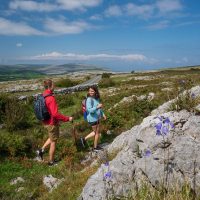 Eco Tours