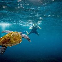 Snorkeling