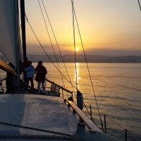 Sailing Trips
