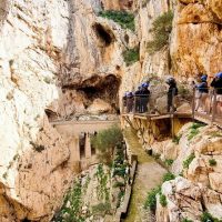 Walking Tours