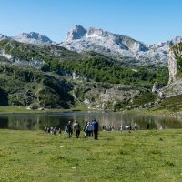 Half-day Tours