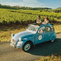 Cultural & Theme Tours