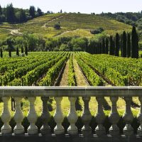 Tours & Sightseeing