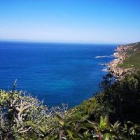 Full-day Tours