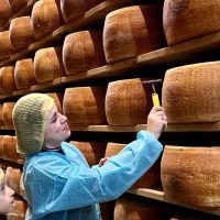 Full-day Tours