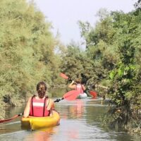 Boat Tours