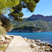Private Sightseeing Tours