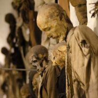 Ghost & Vampire Tours