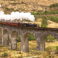Full-day Tours