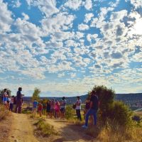 Bus & Minivan Tours