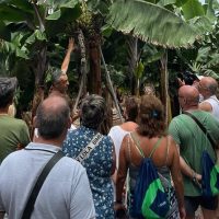Tours & Sightseeing