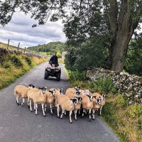 Day Trips & Excursions