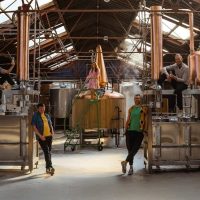 Beer & Brewery Tours