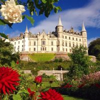 Cultural Tours