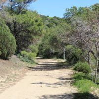 Walking & Biking Tours