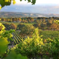 Luxury Tours