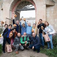 Classic Car Tours