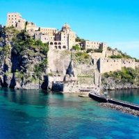 Bus & Minivan Tours