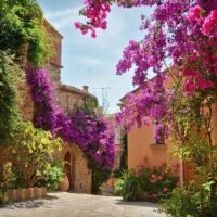 Half-day Tours