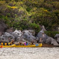 Kayaking & Canoeing