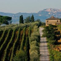 Half-day Tours
