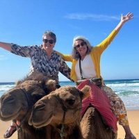 Classic Car Tours