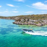 Cruises, Sailing & Water Tours