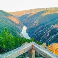 Full-day Tours