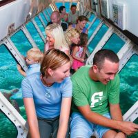 Glass Bottom Boat Tours