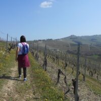 Walking & Biking Tours