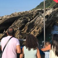 Cruises, Sailing & Water Tours