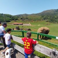 Half-day Tours