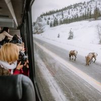 Nature & Wildlife